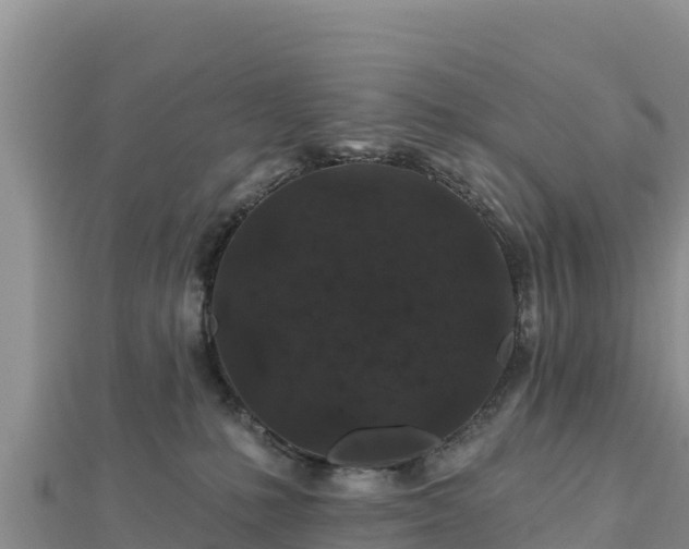 X0000112800231200908281535