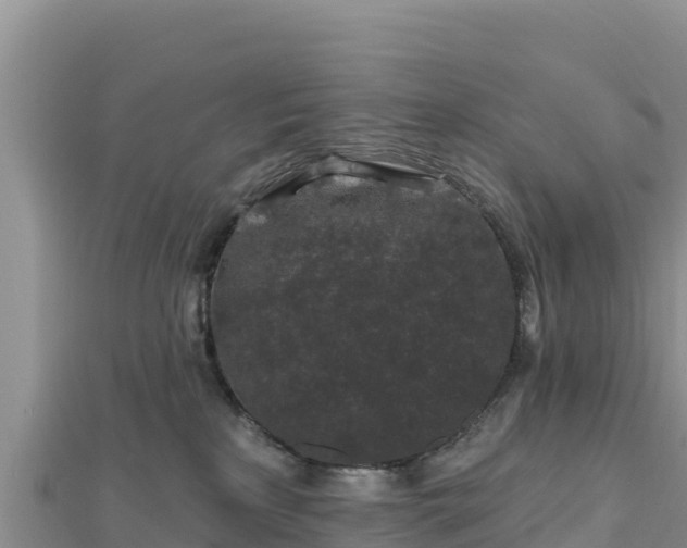 X0000112800233200908281535