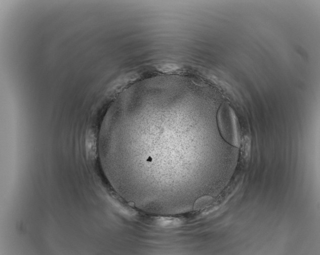 X0000112800234200908281535