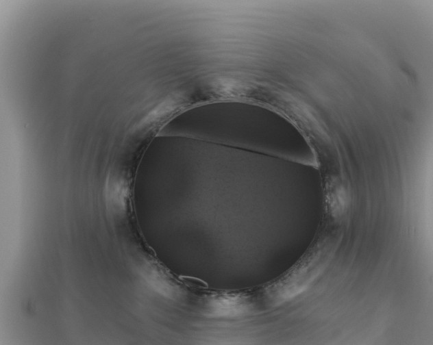 X0000112800235200908281535