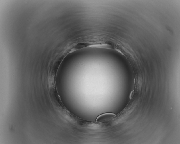 X0000112800236200908281535