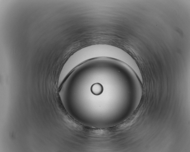 X0000112800237200908281535