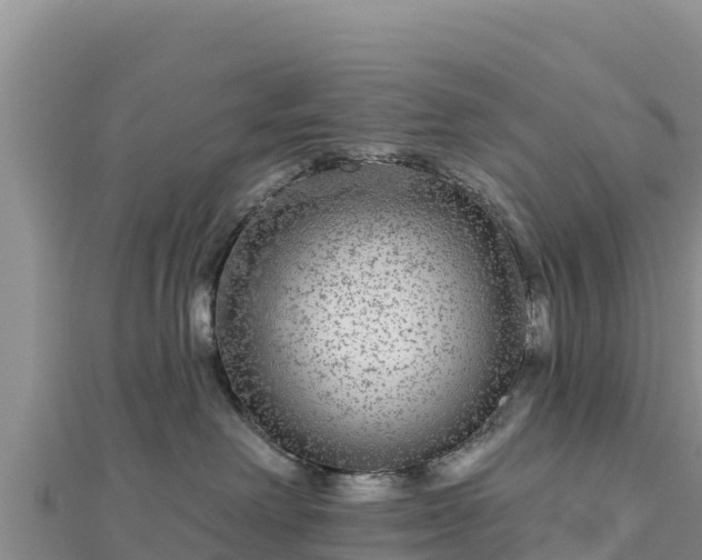 X0000112800238200908281535