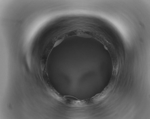 X0000112800239200908281535