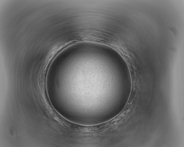 X0000112800241200908281534