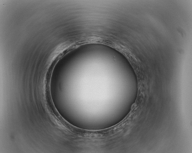 X0000112800242200908281534