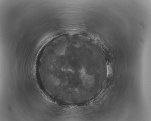 X0000112800243200908281534