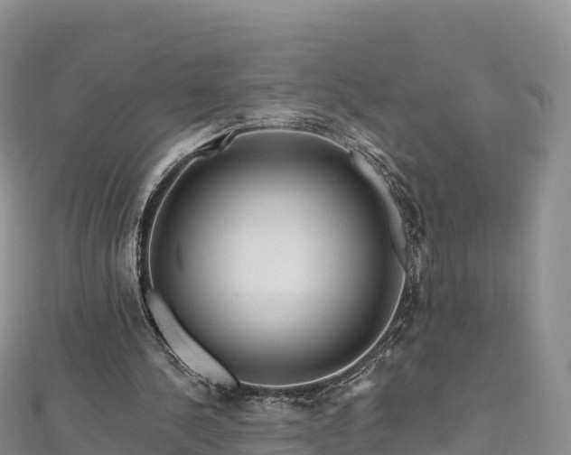 X0000112800244200908281534