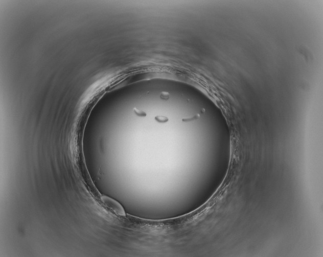 X0000112800245200908281534