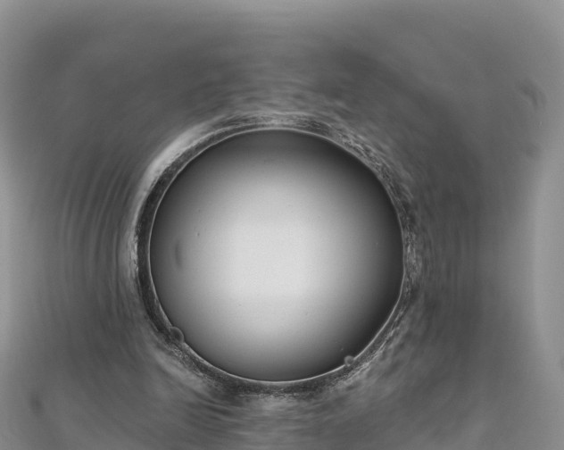 X0000112800246200908281534