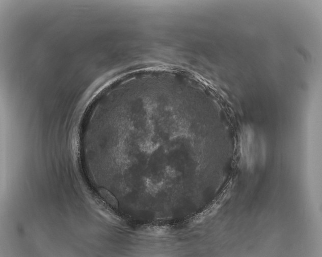 X0000112800247200908281534