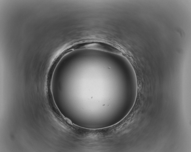 X0000112800248200908281534