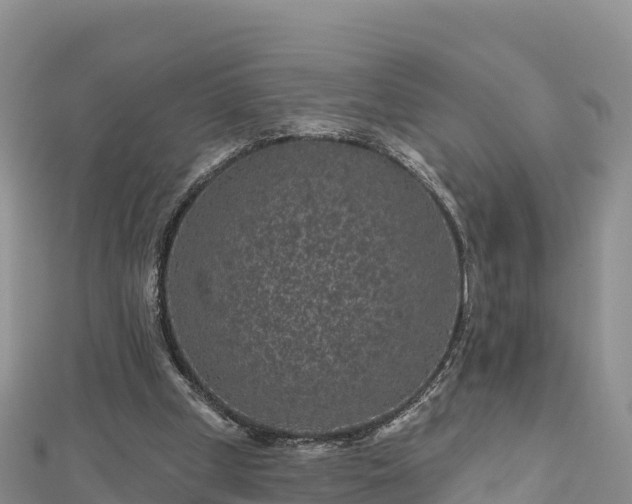 X0000112800249200908281534