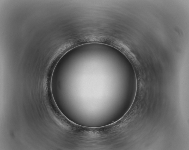 X0000112800250200908281534
