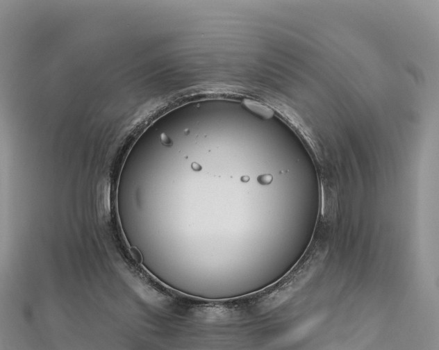 X0000112800253200908281534