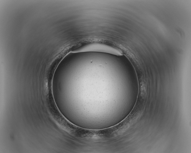 X0000112800254200908281534