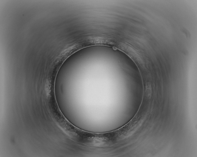 X0000112800255200908281534