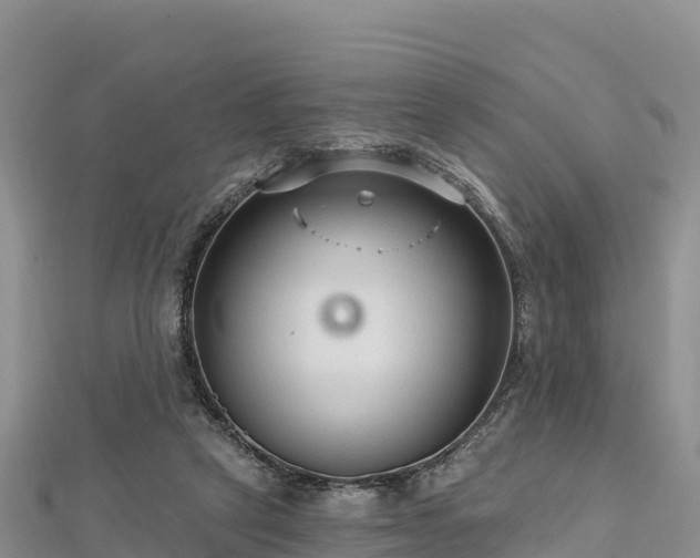 X0000112800257200908281534