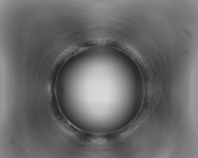 X0000112800258200908281534