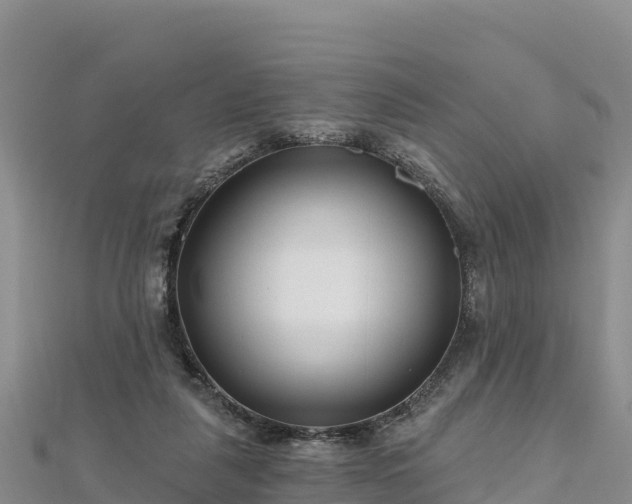 X0000112800259200908281534
