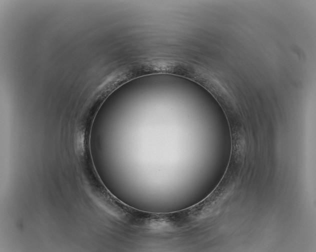 X0000112800262200908281534