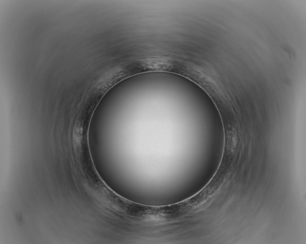 X0000112800263200908281534