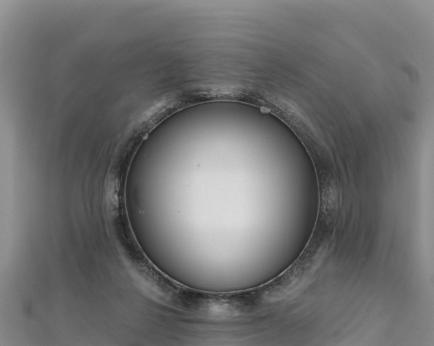 X0000112800264200908281534