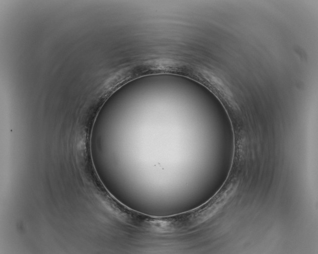 X0000112800265200908281534