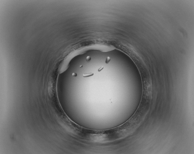 X0000112800266200908281534