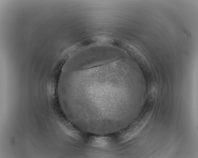 X0000112800268200908281534