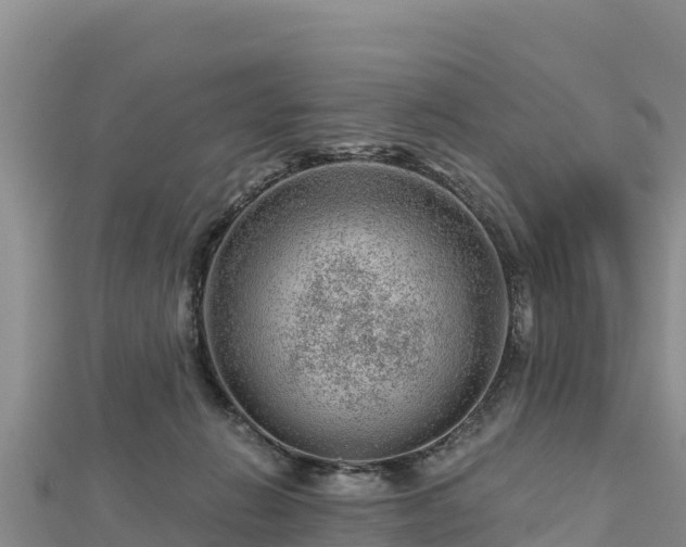 X0000112800270200908281534