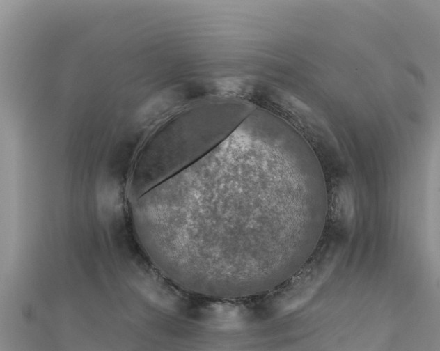X0000112800272200908281534