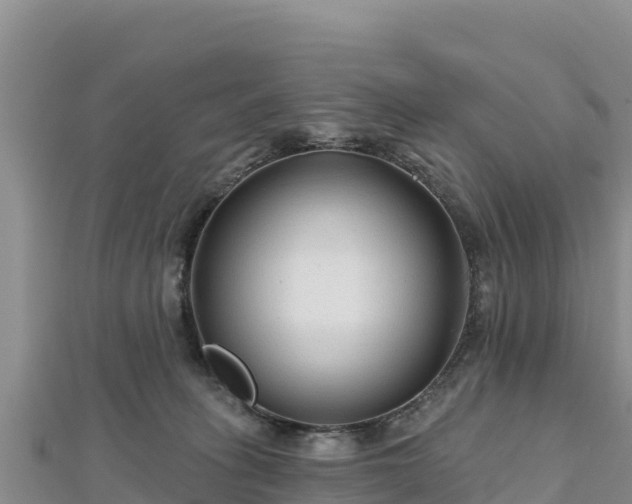 X0000112800275200908281534
