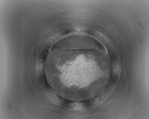X0000112800276200908281534
