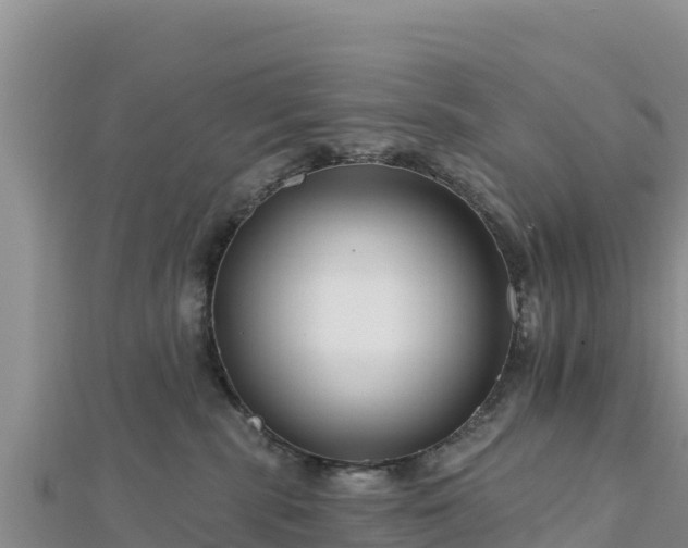 X0000112800283200908281535