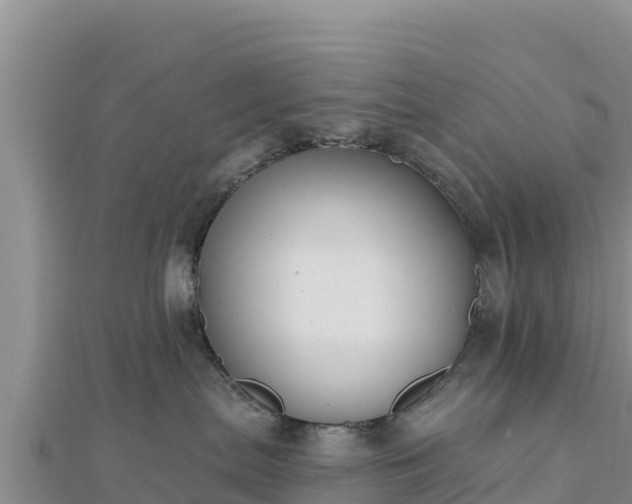 X0000112800287200908281535