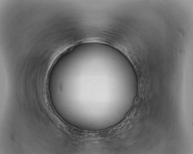 X0000112800289200908281534
