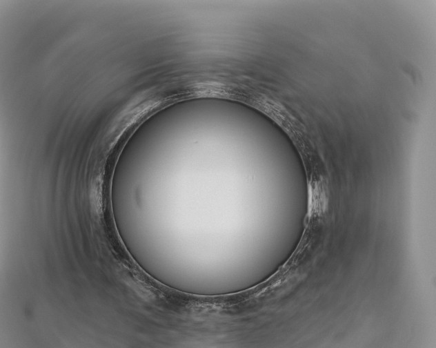 X0000112800291200908281534