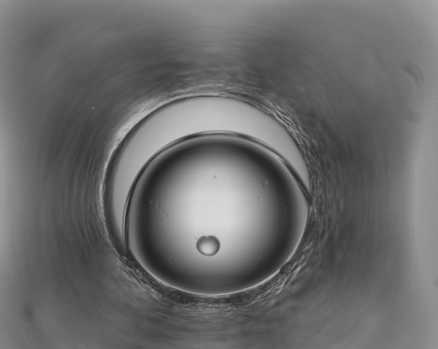 X0000112800292200908281534