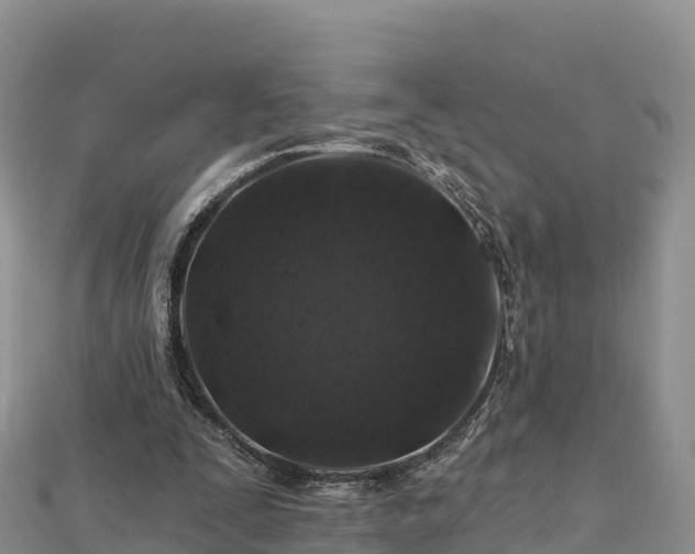 X0000112800295200908281534