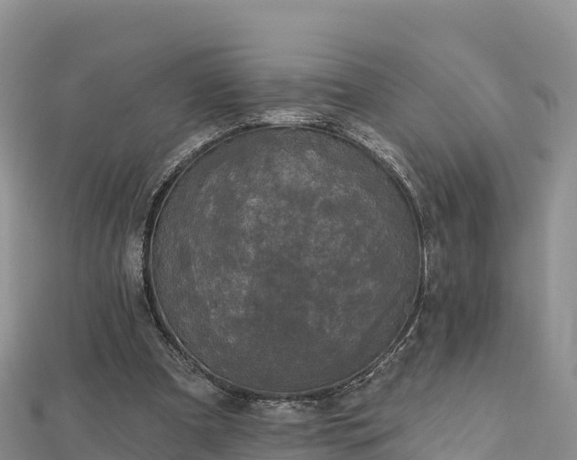 X0000112800297200908281534