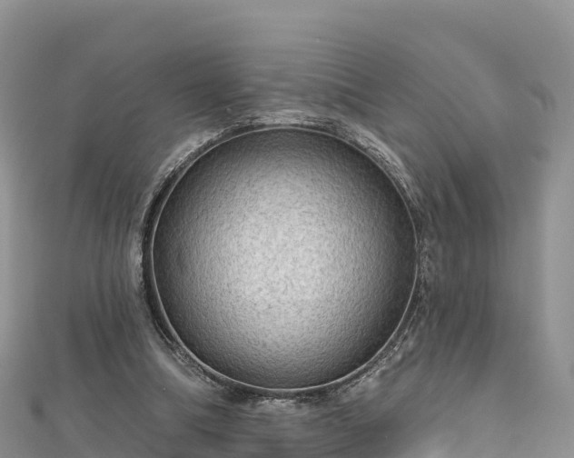 X0000112800298200908281534