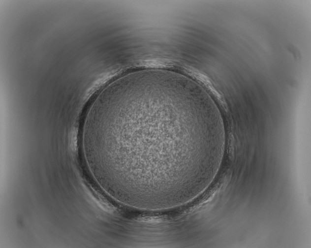 X0000112800299200908281534