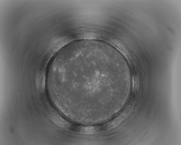 X0000112800301200908281534