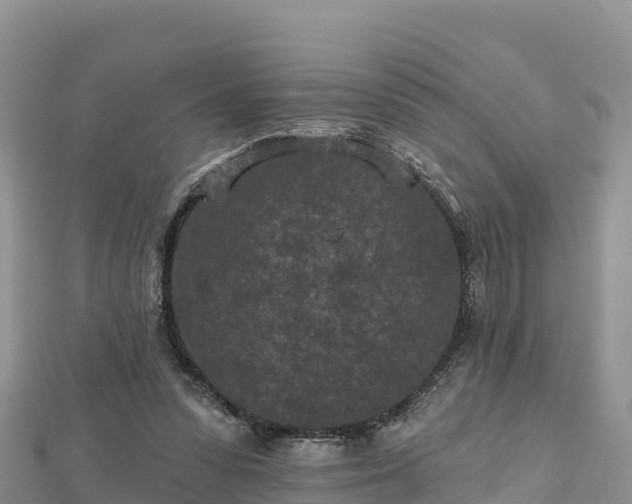 X0000112800303200908281534