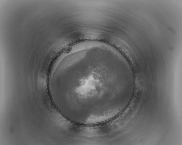 X0000112800305200908281534