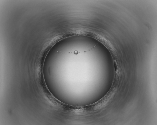 X0000112800306200908281534