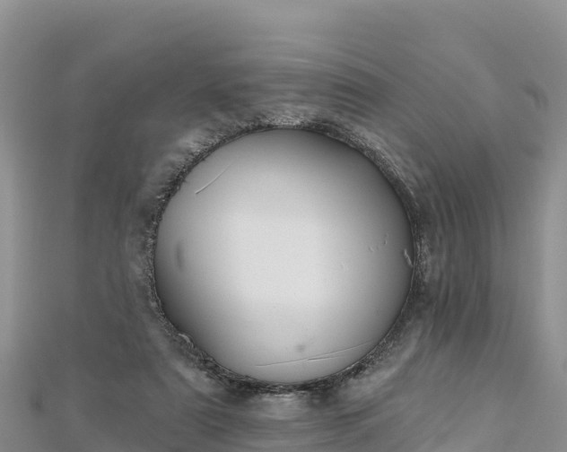 X0000112800307200908281534