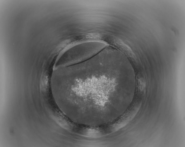 X0000112800308200908281534