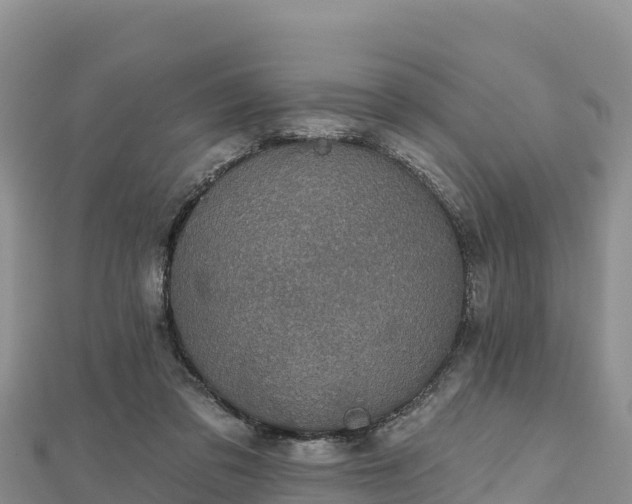 X0000112800309200908281534